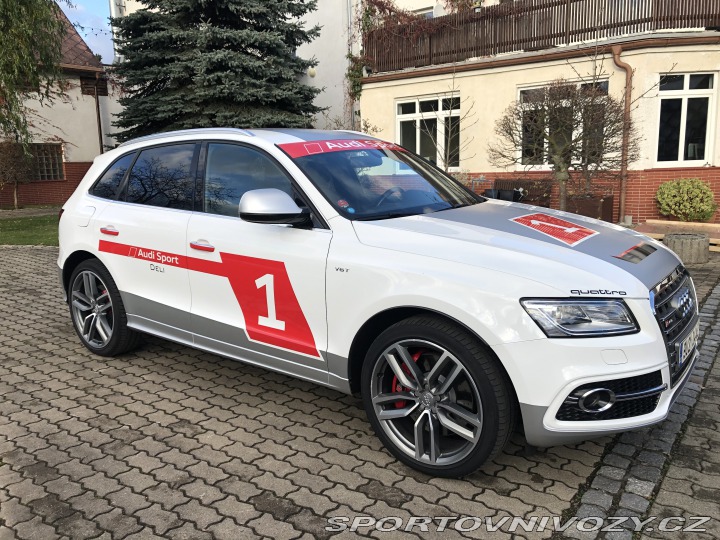 Audi SQ5 2015
