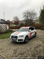 Audi SQ5 2015