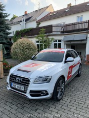 Audi SQ5 2015