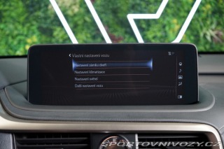 Lexus RC 4X4*CVT*LIMITED*DRCC 2023