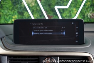 Lexus RC 4X4*CVT*LIMITED*DRCC 2023
