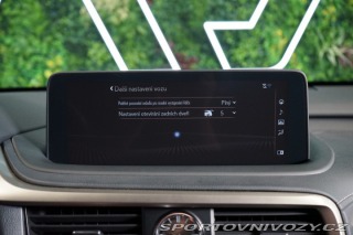 Lexus RC 4X4*CVT*LIMITED*DRCC 2023
