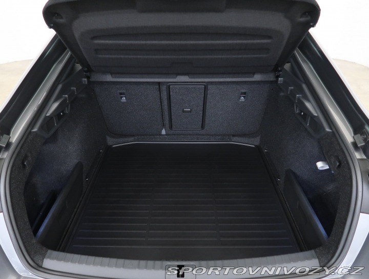 Škoda Octavia RS RS RS 2.0 TSI 2023