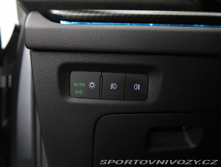 Škoda Octavia RS RS RS 2.0 TSI 2023