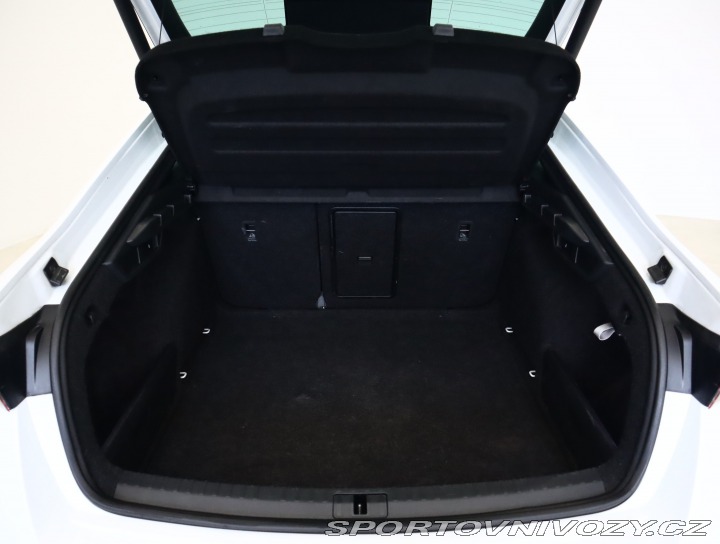 Škoda Octavia RS RS RS 2.0 TDI 4x4 2023