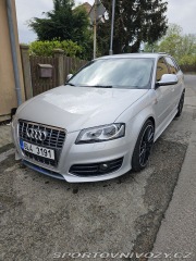Audi S3 8PA 2009