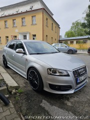 Audi S3 8PA 2009