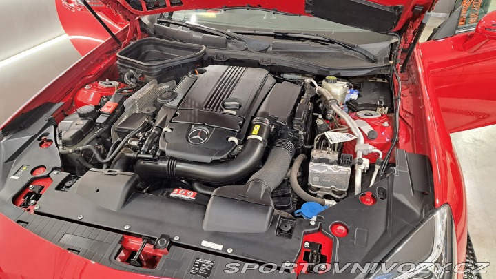 Mercedes-Benz SLK 250 2011
