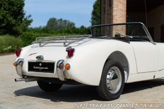 Ostatní značky Ostatní modely Austin-Healey SPRITE 1958