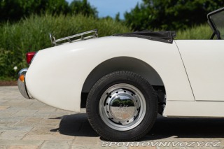 Ostatní značky Ostatní modely Austin-Healey SPRITE 1958
