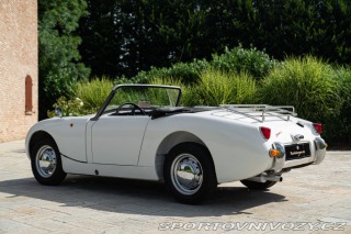Ostatní značky Ostatní modely Austin-Healey SPRITE 1958