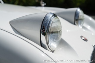Ostatní značky Ostatní modely Austin-Healey SPRITE 1958