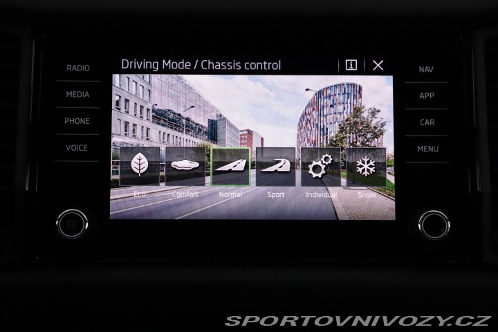 Škoda Kodiaq RS RS RS 2.0 TSI 2023