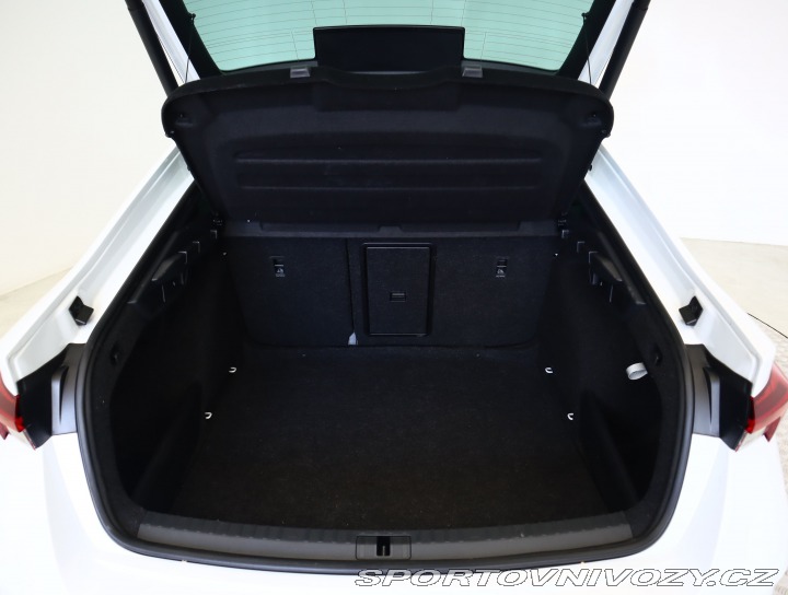 Škoda Octavia RS RS RS 2.0 TDI 4x4 2023
