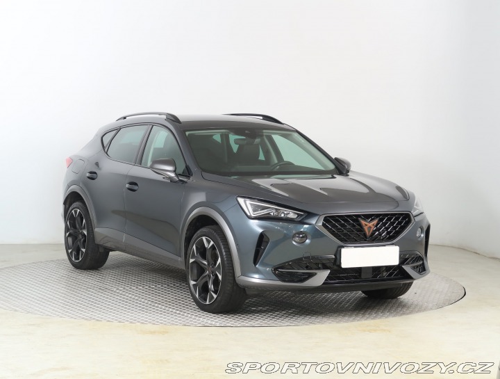 Cupra Formentor 2.0 TSI 4Drive 2022
