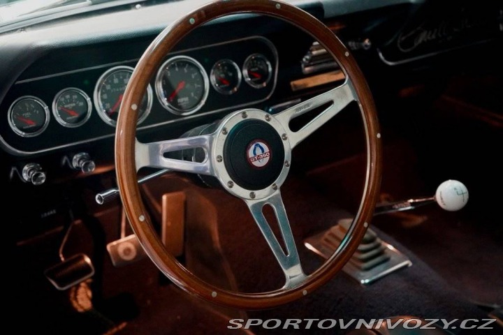 Ford Mustang Fastback Hertz Clone 1966