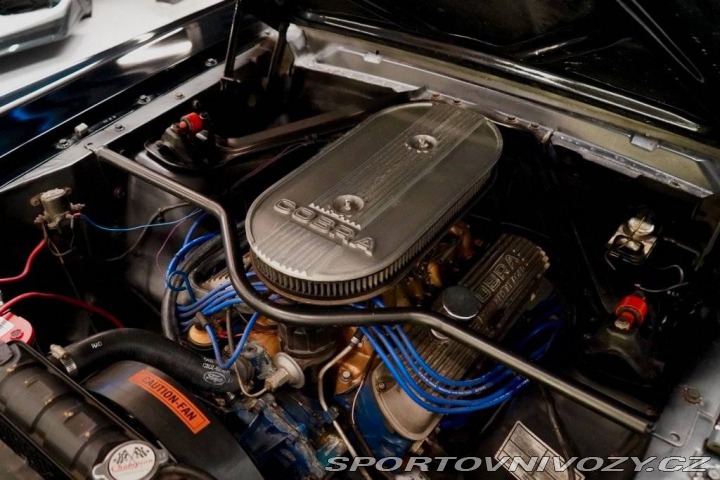 Ford Mustang Fastback Hertz Clone 1966