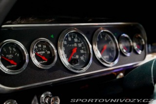 Ford Mustang Fastback Hertz Clone 1966