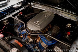 Ford Mustang Fastback Hertz Clone 1966