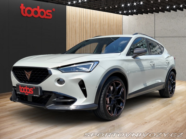 Cupra Formentor VZ5 TAIGA GREY 698/999 2023