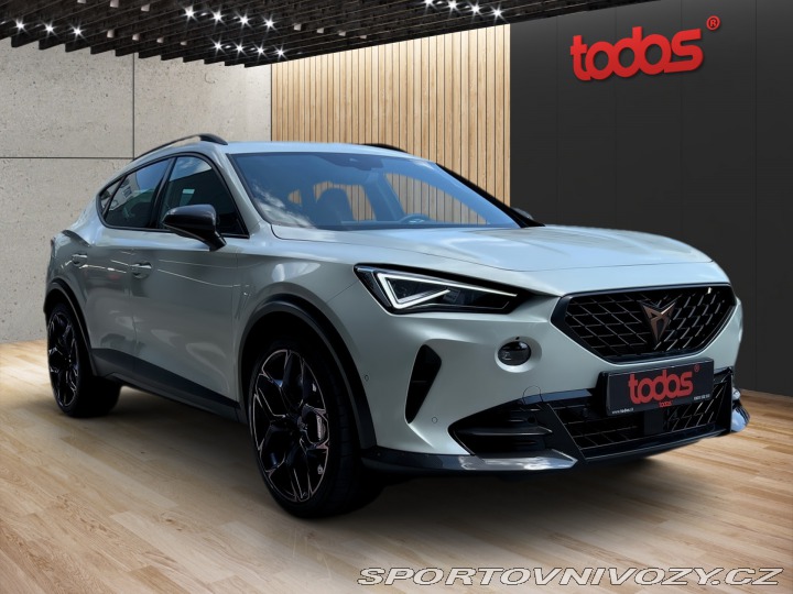 Cupra Formentor VZ5 TAIGA GREY 698/999 2023
