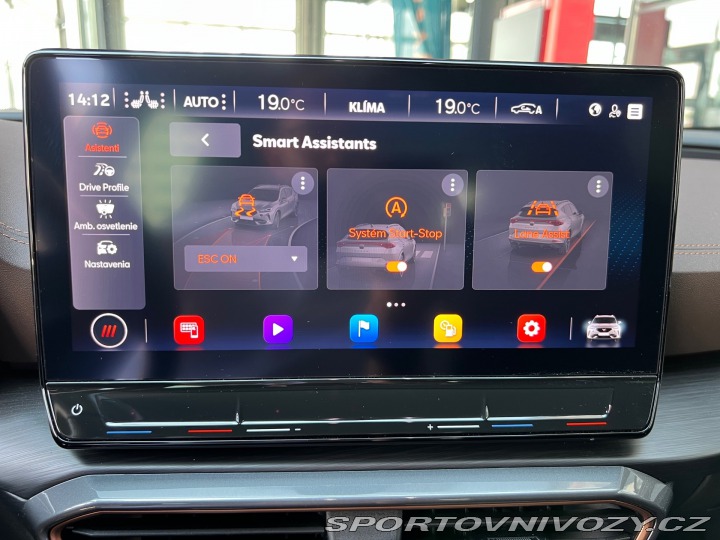 Cupra Formentor VZ5 TAIGA GREY 698/999 2023