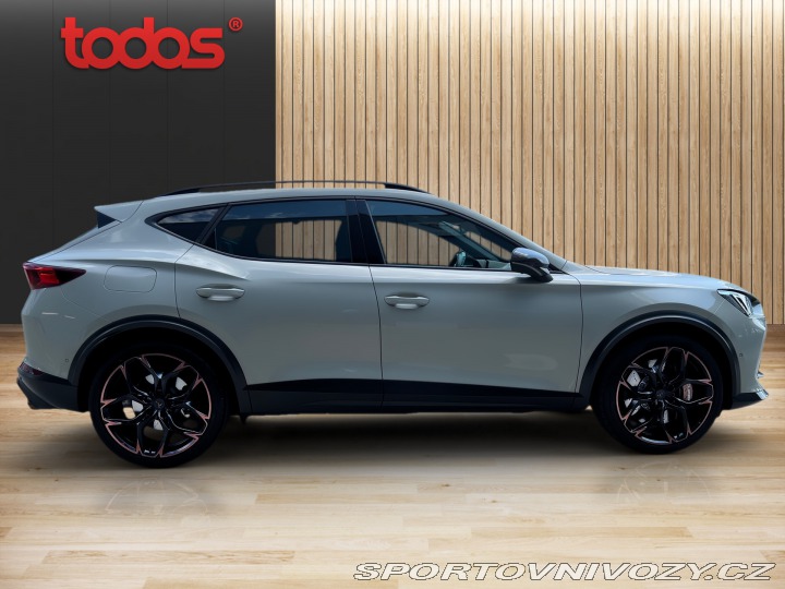 Cupra Formentor VZ5 TAIGA GREY 698/999 2023