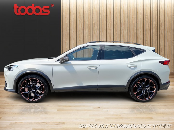 Cupra Formentor VZ5 TAIGA GREY 698/999 2023