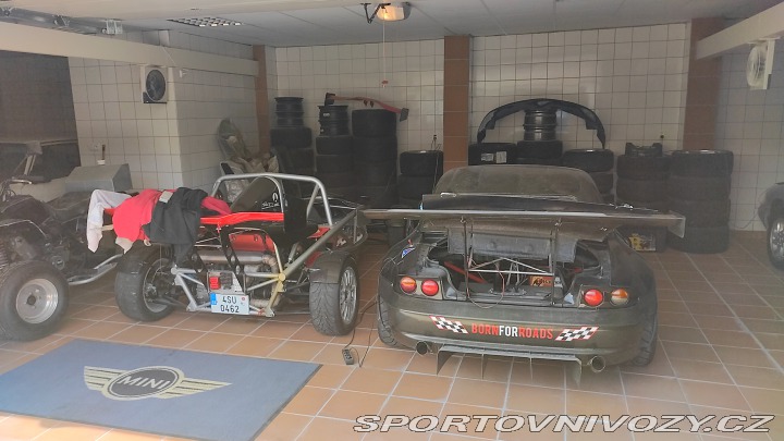 Ostatní značky Ostatní modely Ariel - Atom 3 2009