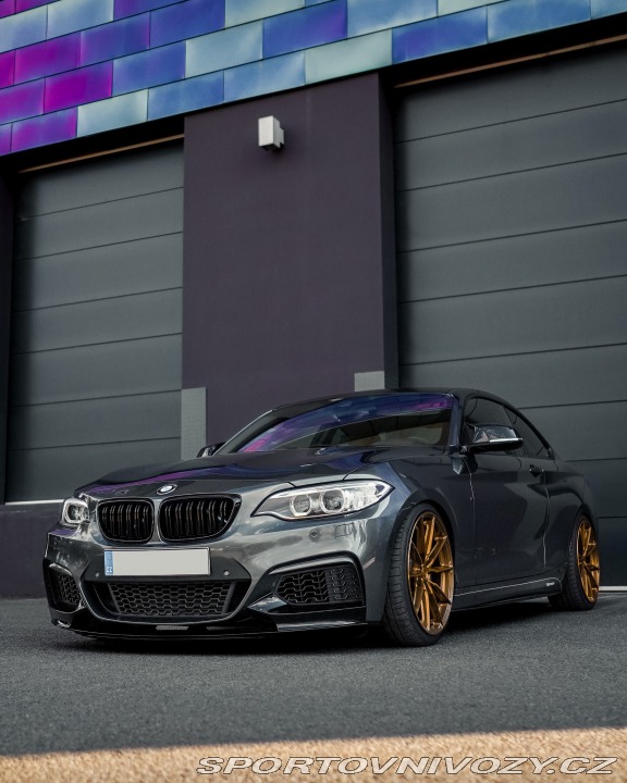 BMW 2 2015