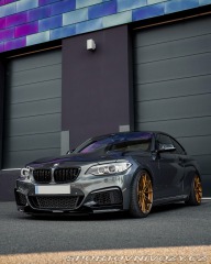 BMW 2 2015