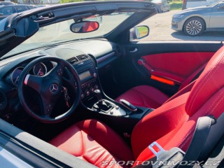 Mercedes-Benz SLK 2010