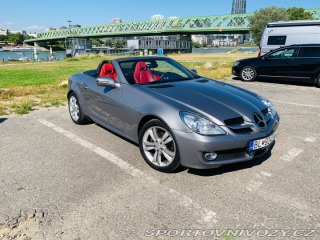 Mercedes-Benz SLK 2010