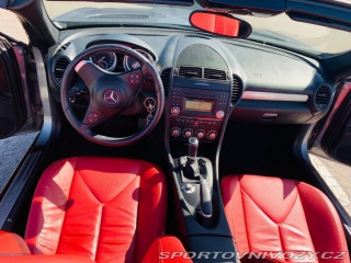 Mercedes-Benz SLK 2010