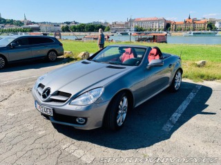 Mercedes-Benz SLK 2010