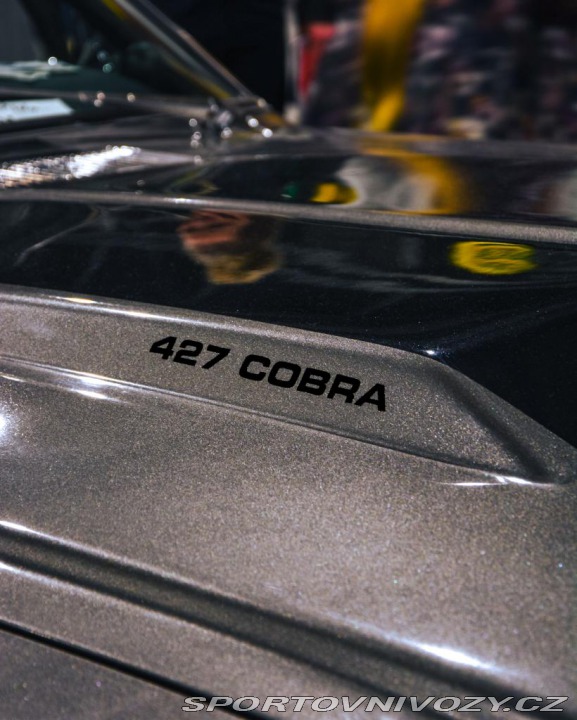 Ford Mustang PRODÁNO Shelby GT500 1968