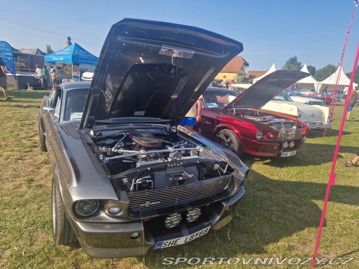 Ford Mustang PRODÁNO Shelby GT500 1968
