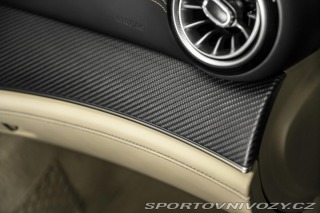 Mercedes-Benz AMG GT 63s BURM/TV/AERO/KARBON/N 2019