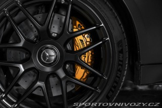 Mercedes-Benz AMG GT 63s BURM/TV/AERO/KARBON/N 2019