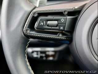 Porsche Cayenne Coupe V8 Turbo E-Hybrid 2024