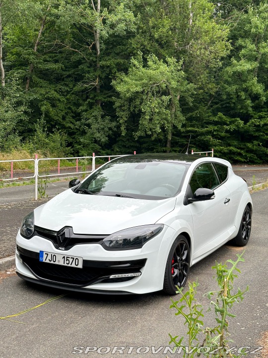 Renault Mégane III RS cup 2014