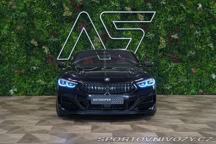 BMW 8 COUPÉ*CARBON*H/K*SERVIS*N 2019