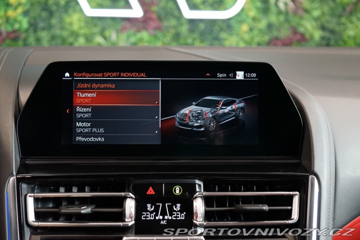 BMW 8 COUPÉ*CARBON*H/K*SERVIS*N 2019