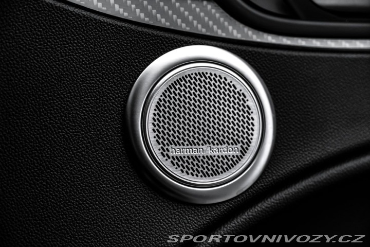 Alfa Romeo Stelvio Quadrifoglio Q4* 510PS*Pa 2019