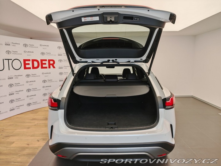 Lexus Ostatní modely RX 450h+ EXECUTIVE PLUS Pear 2024