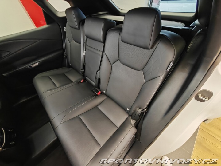 Lexus Ostatní modely RX 450h+ EXECUTIVE PLUS Pear 2024
