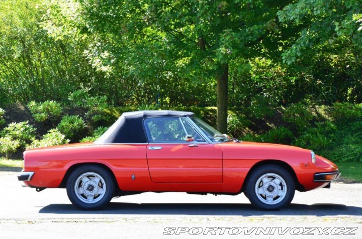 Alfa Romeo Spider 2000 Spider Veloce 1981