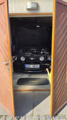 Ford Mustang California 2007 V8 4,6l m 2007