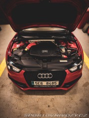 Audi A5 Coupe Competition 2012