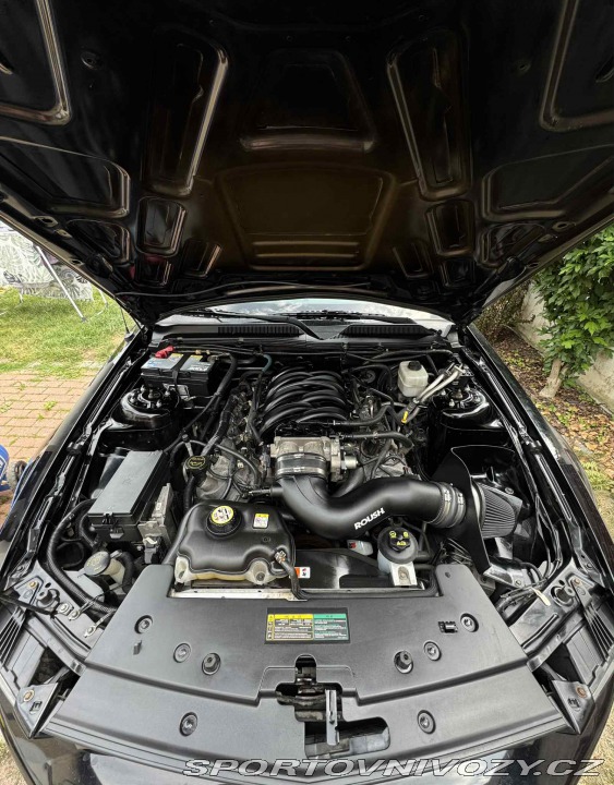 Ford Mustang GT 4.6 benzin V8 224 kW 2008